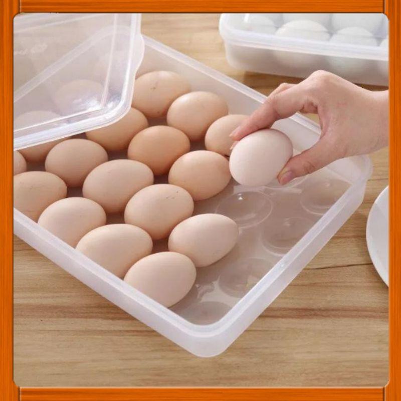 Hộp đựng trứng 24 quả nhựa
