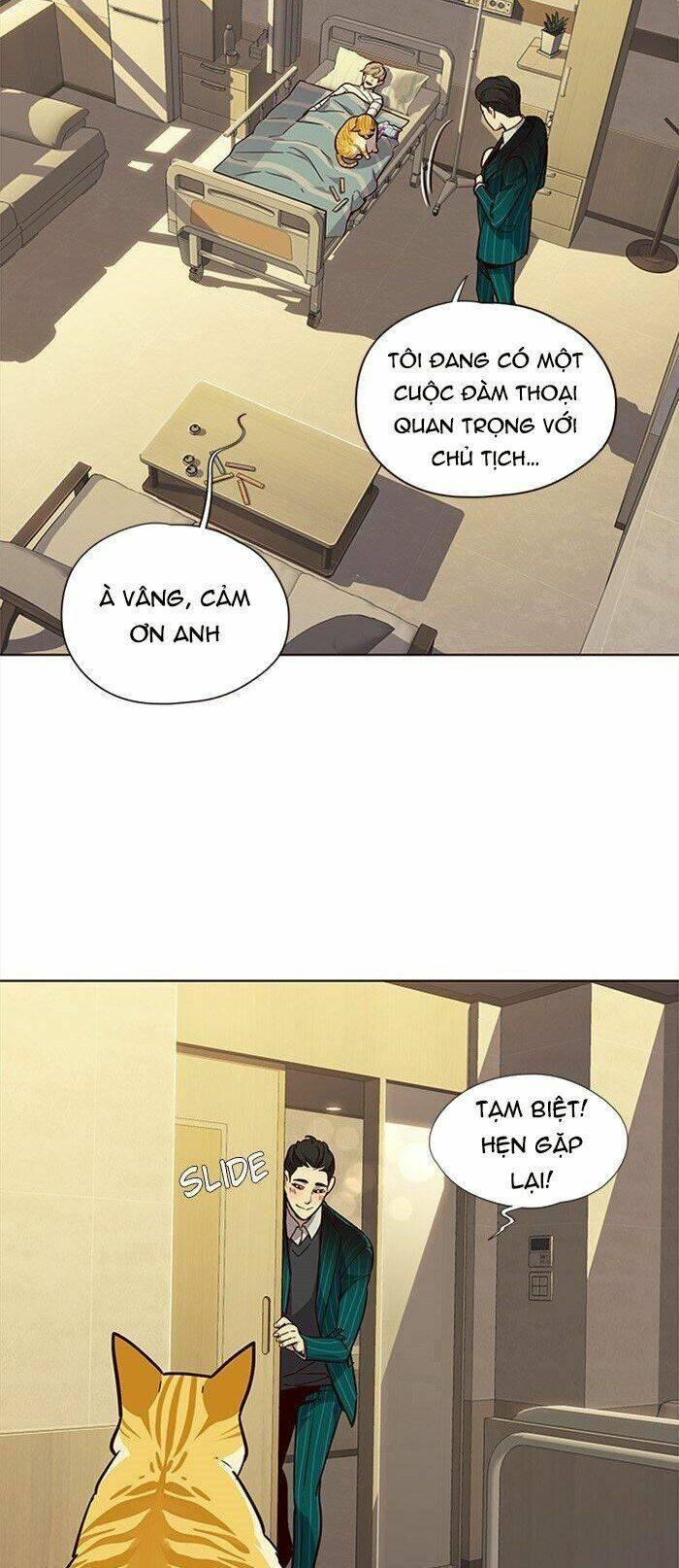 biến thân thành mèo chapter 29 33