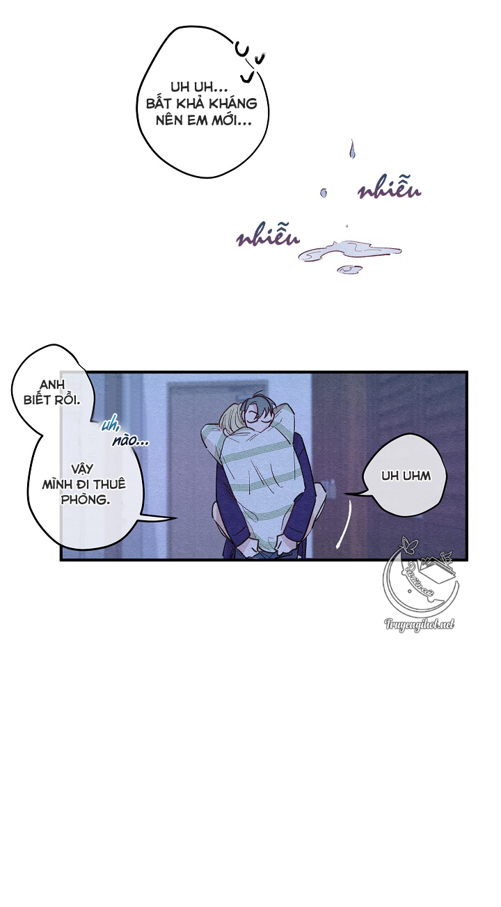 [bl19+] hoa không nở chapter 2 8