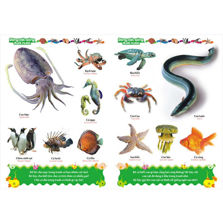 Từ Điển Tranh Về Các Con Vật
