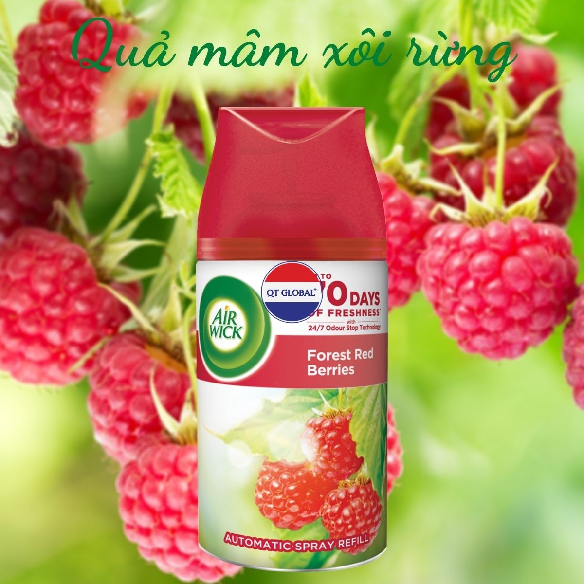 Bình xịt thơm phòng Air.Wick Forest Red Berries 250ml QT0047 - quả mâm xôi rừng