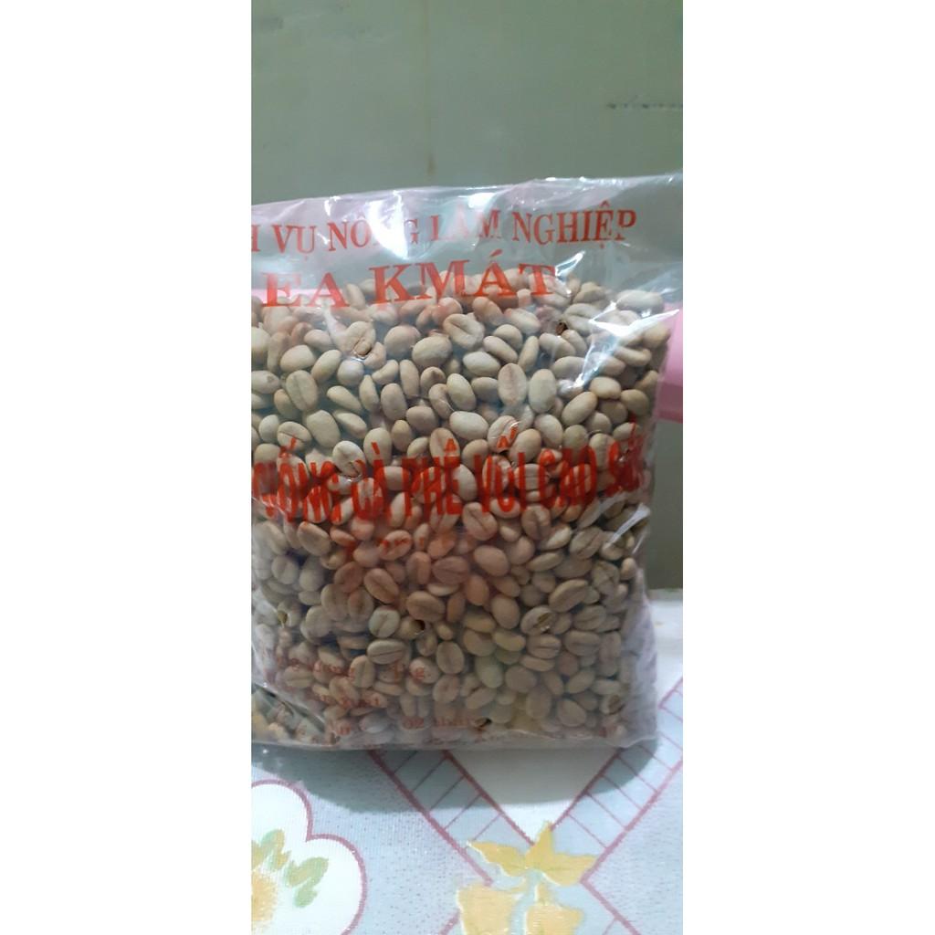 Hạt cà phê xanh lùn giống