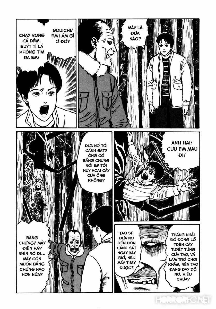 tuyển tập truyện ngắn kinh dị của ito junji chapter 6.1 63
