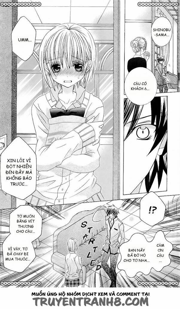 suki desu suzuki-kun!! chapter 50 17