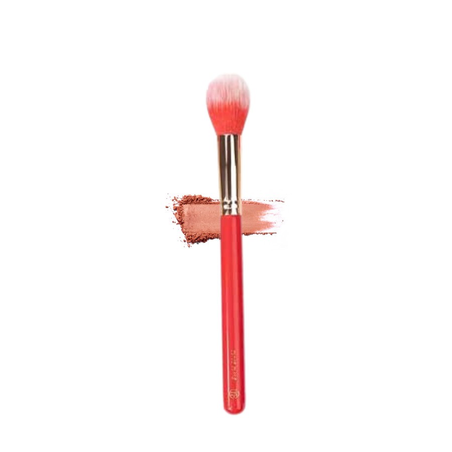 Cọ Highlight - Setting - Má Hồng Điểm Bh Cosmetics Miss Claus Fa La La Brush Brush