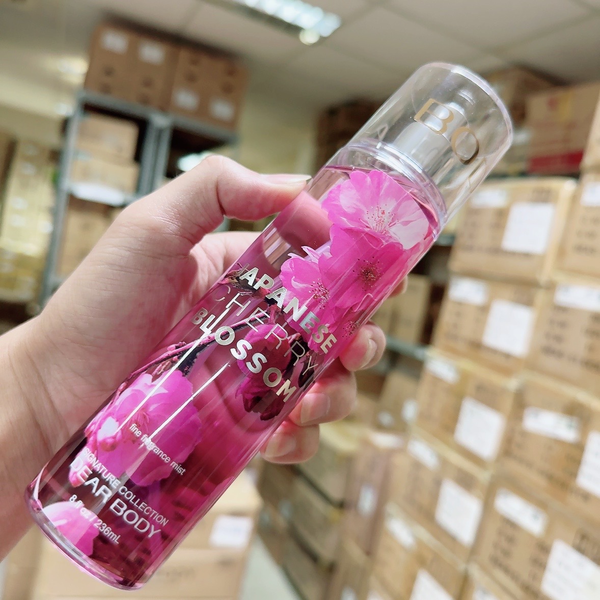 BODY MIST DEAR BODY 236ml - XỊT THƠM TOÀN THÂN - JAPANESE CHERRY BLOSSOM - TẠO MÙI THƠM CƠ THỂ - LƯU HƯƠNG 5-8h - ĐA DẠNG MÙI HƯƠNG - QUYẾN RŨ