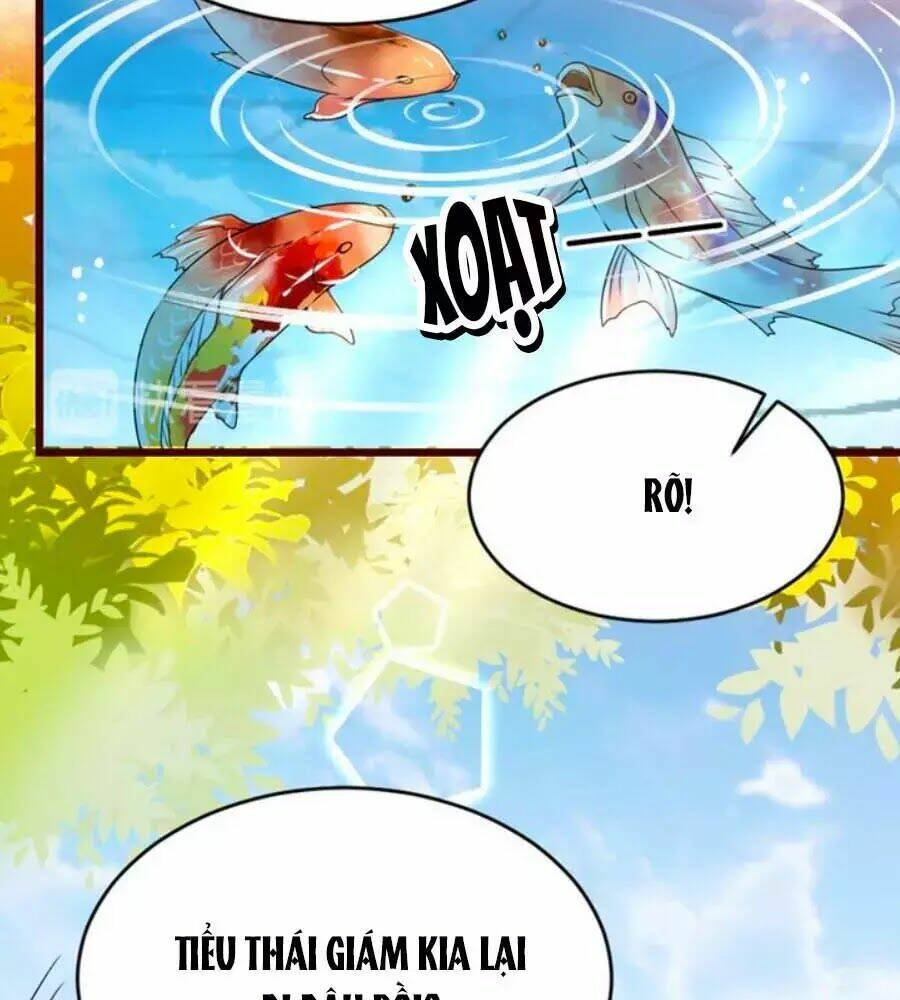 thái tử điện hạ, nô tài có hỉ rồi chapter 17 5