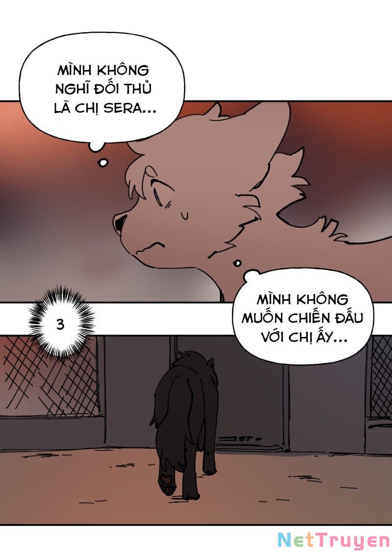 lumine - cội nguồn ánh sáng chapter 113 29