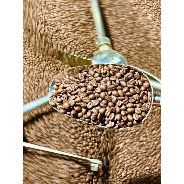 Nhân CAFE sống robusta(1kg hàng chọn loc)