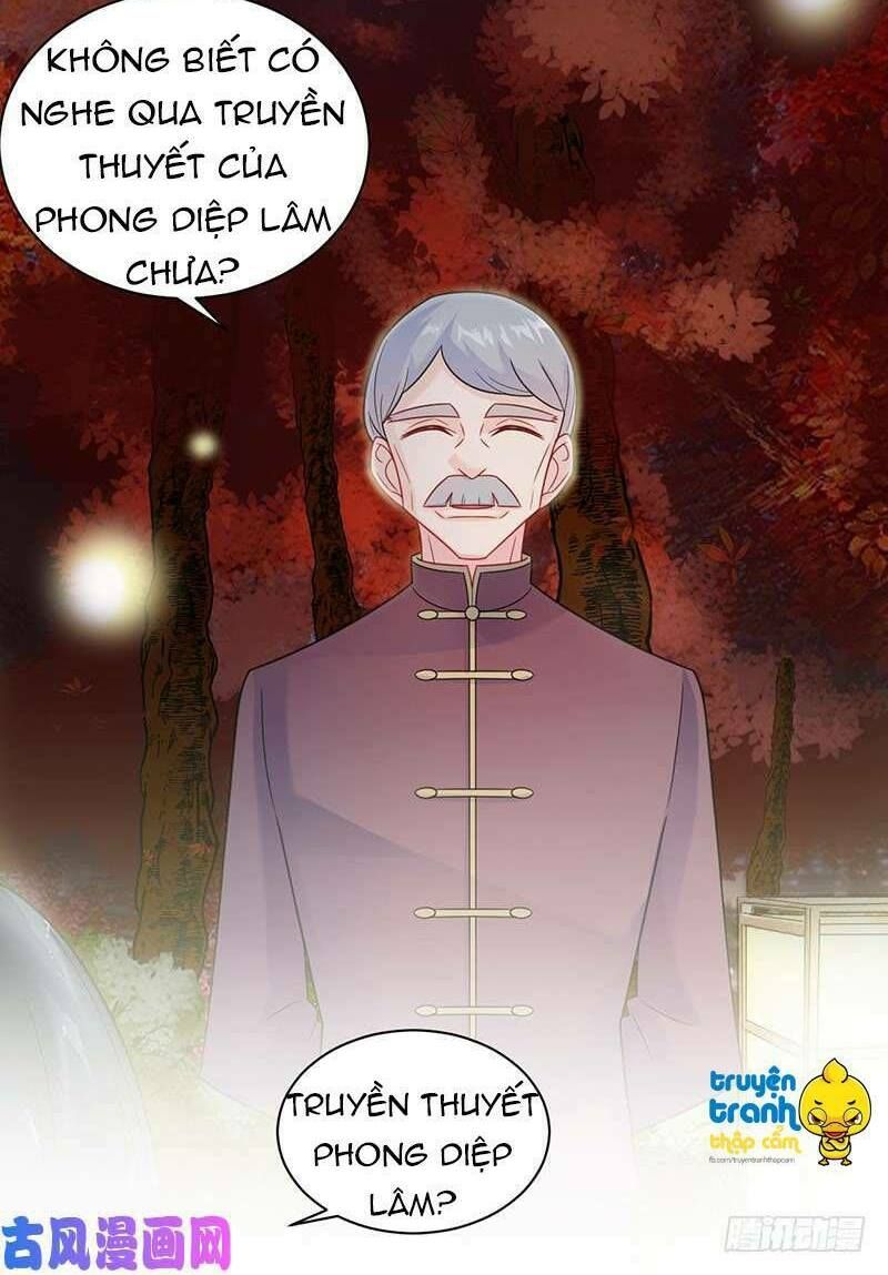 chọc tới chủ tịch tổng tài 2 chapter 60 18