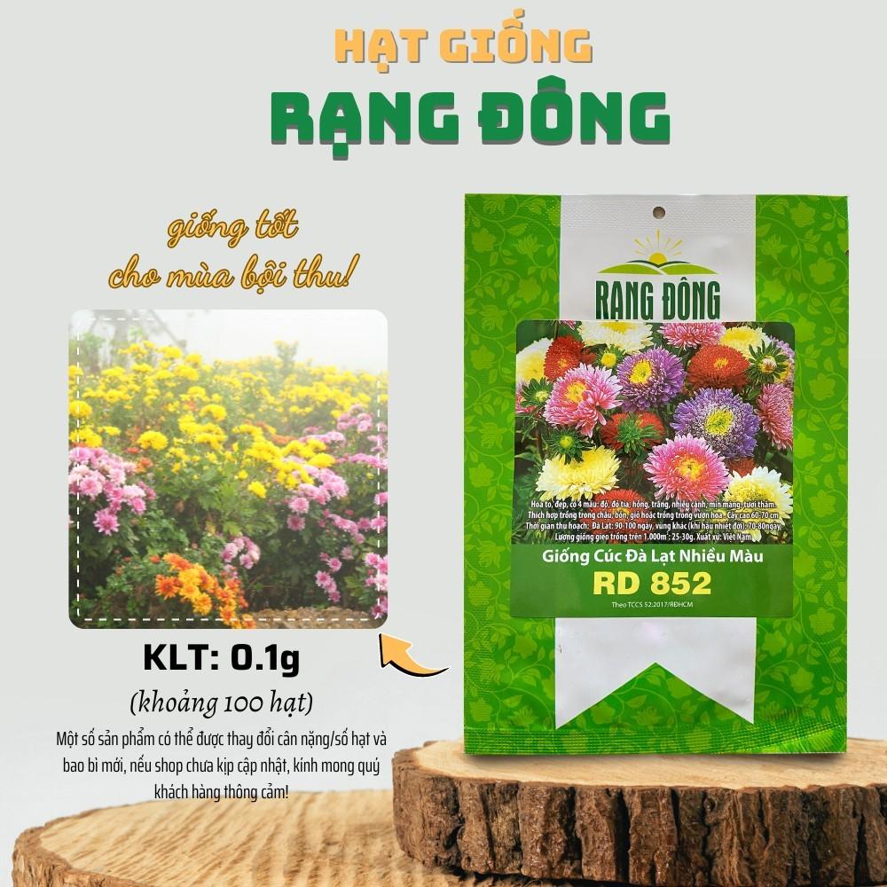 Hạt giống Hoa Cúc Đà Lạt Nhiều Màu Rd 852 (0,1g~100 hạt) giống hoa đẹp, trồng quanh năm - Hạt giống Rạng Đông