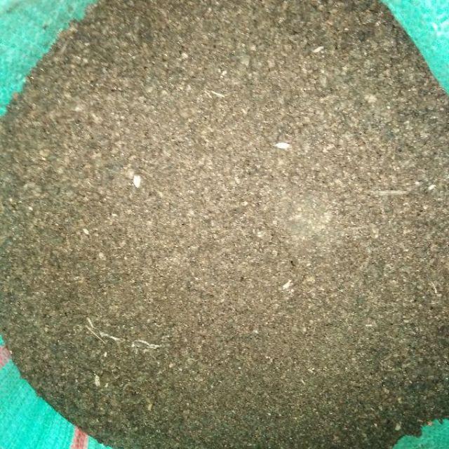 0,5kg phân dơi nguyên thủy dành cho cây chúc rất thích.