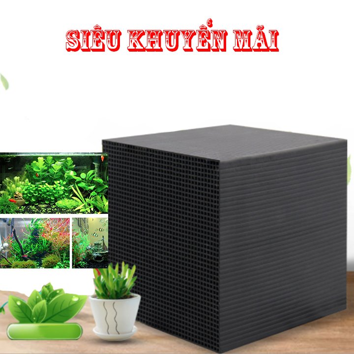 Than Hoạt Tính Chuyên lọc Nước cho hồ cá, Khử Mùi, Lọc Không Khí loại 10x10x5