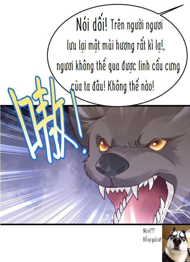 trọng sinh thành tiểu nha đầu chapter 5 9