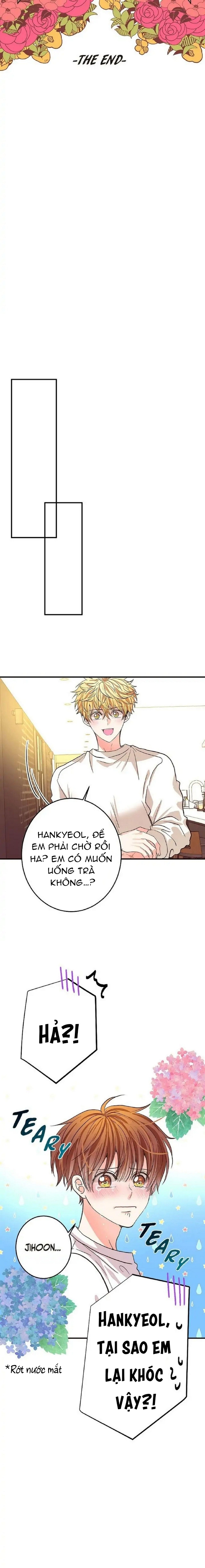 mối quan hệ phù hợp chapter 12 15