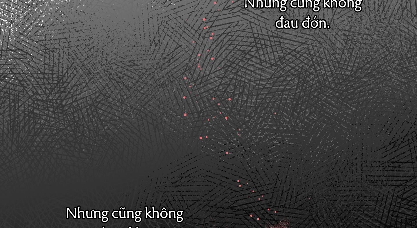 định rõ mối quan hệ chapter 50 127