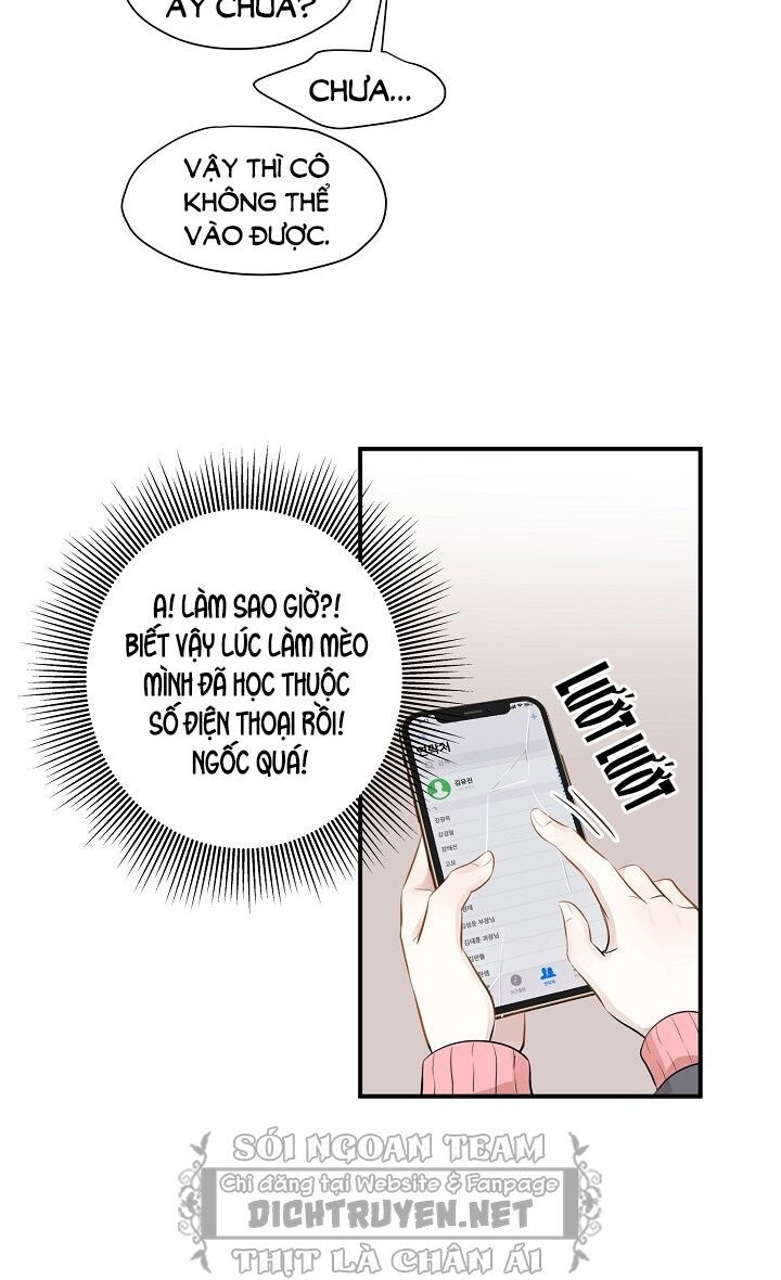 cuộc sống kỳ thú chapter 49 62