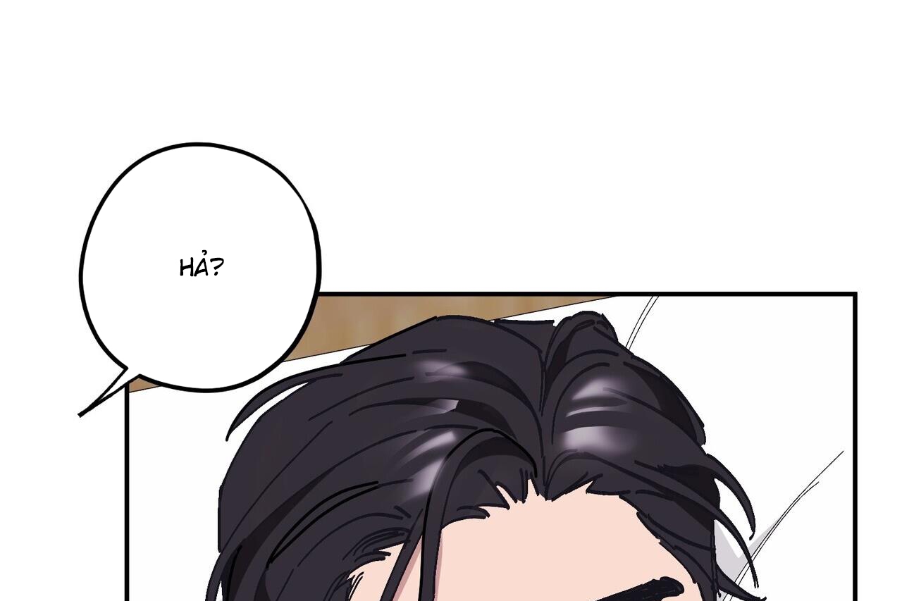 chàng dâu nhà họ kang chapter 32 51