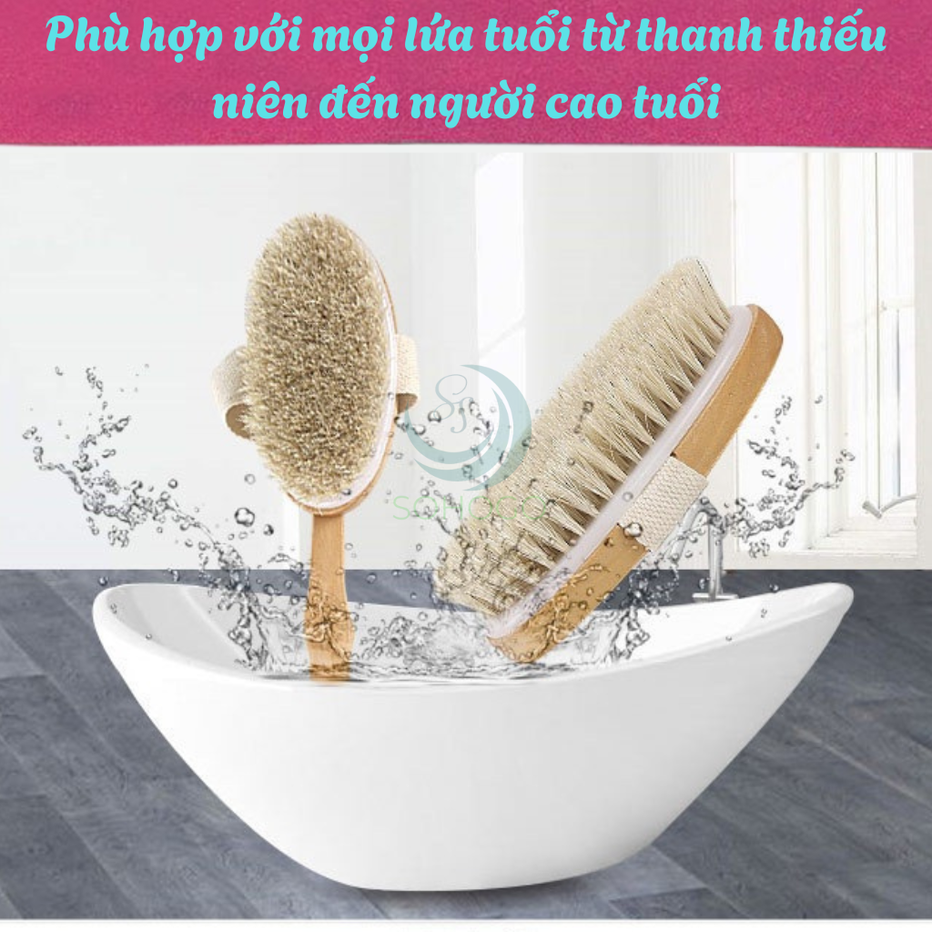 Bàn chải tắm cán dài bằng gỗ tự nhiên - Bàn chải massage cơ thể cao cấp - Cọ tắm khô &amp; ướt cán dài tiện lợi - Bàn chải chà lưng chống tế bào chết - Bàn chải tắm toàn thân spa tại nhà