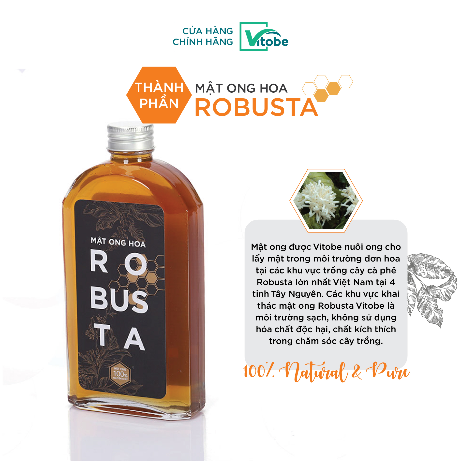 Mật Ong Hoa Robusta Vitobe - 100% Nguyên Chất & Hữu Cơ
