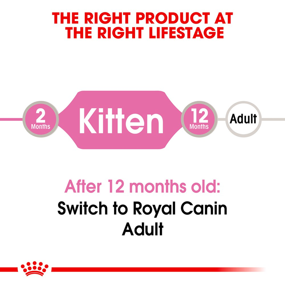 Pate Thức Ăn Ướt Royal Canin Kitten Cho Mèo Con - Gói 85G