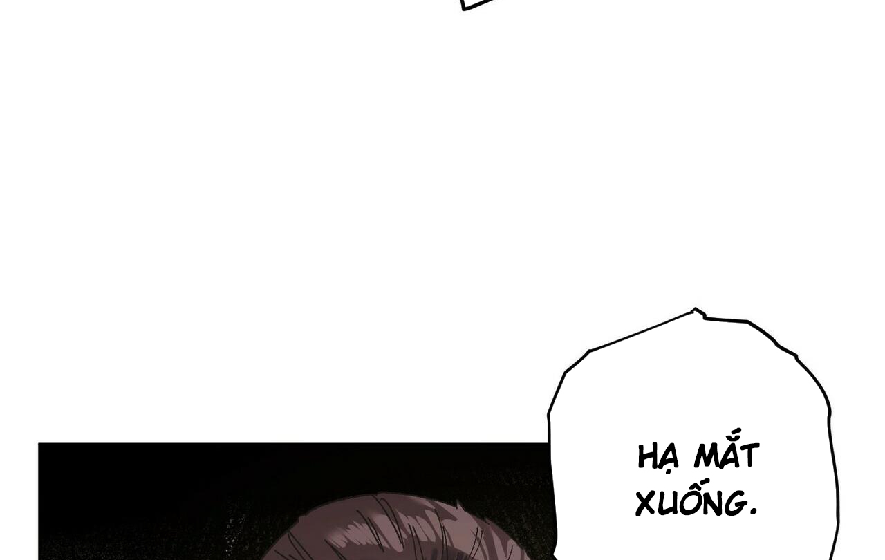 chàng dâu nhà họ kang chapter 28 131