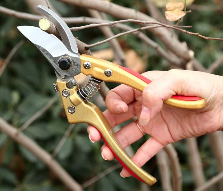 KÉO CẮT CÀNH CHUYÊN NGHIỆP SIÊU SẮC BÉN