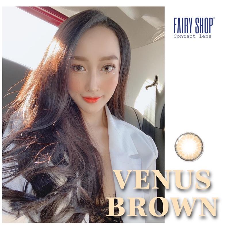 Lens 1 Ngày Venus Brown - Kính Áp Tròng Cao Cấp 1 Ngày FAIRY SHOP CONTACT LENS