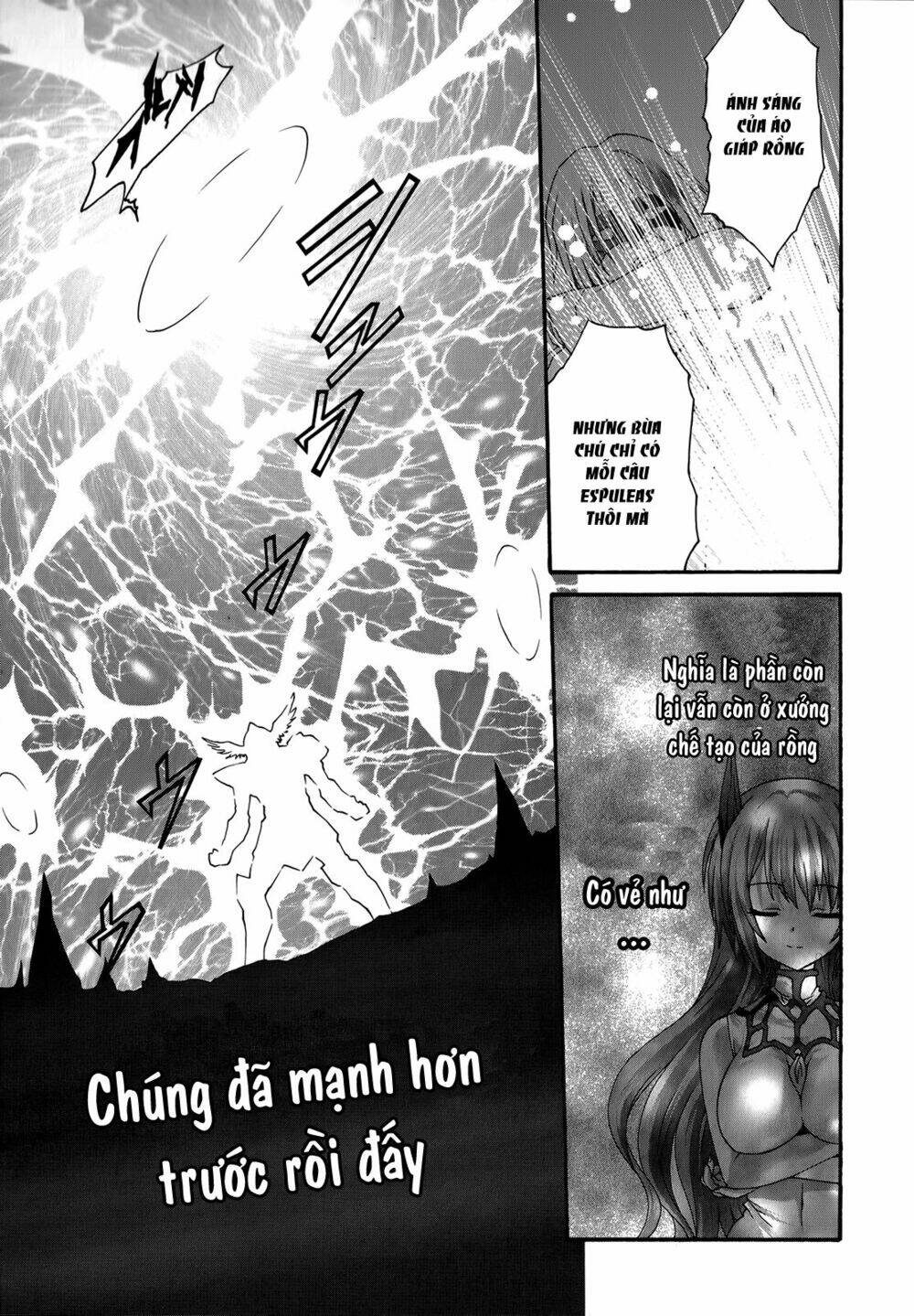 seikoku no dragonar chapter 22 19