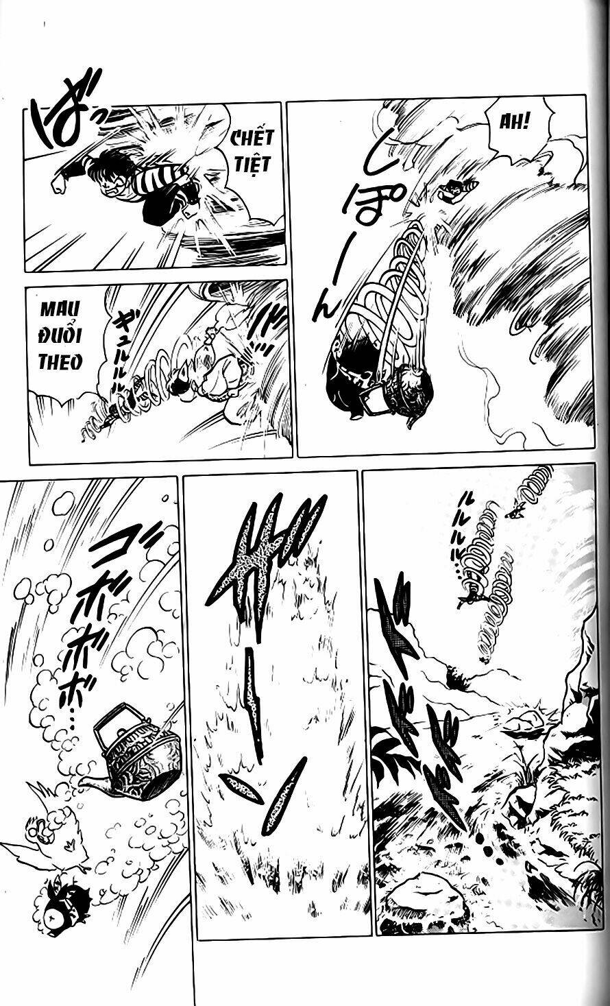 suối lời nguyền chapter 256 10