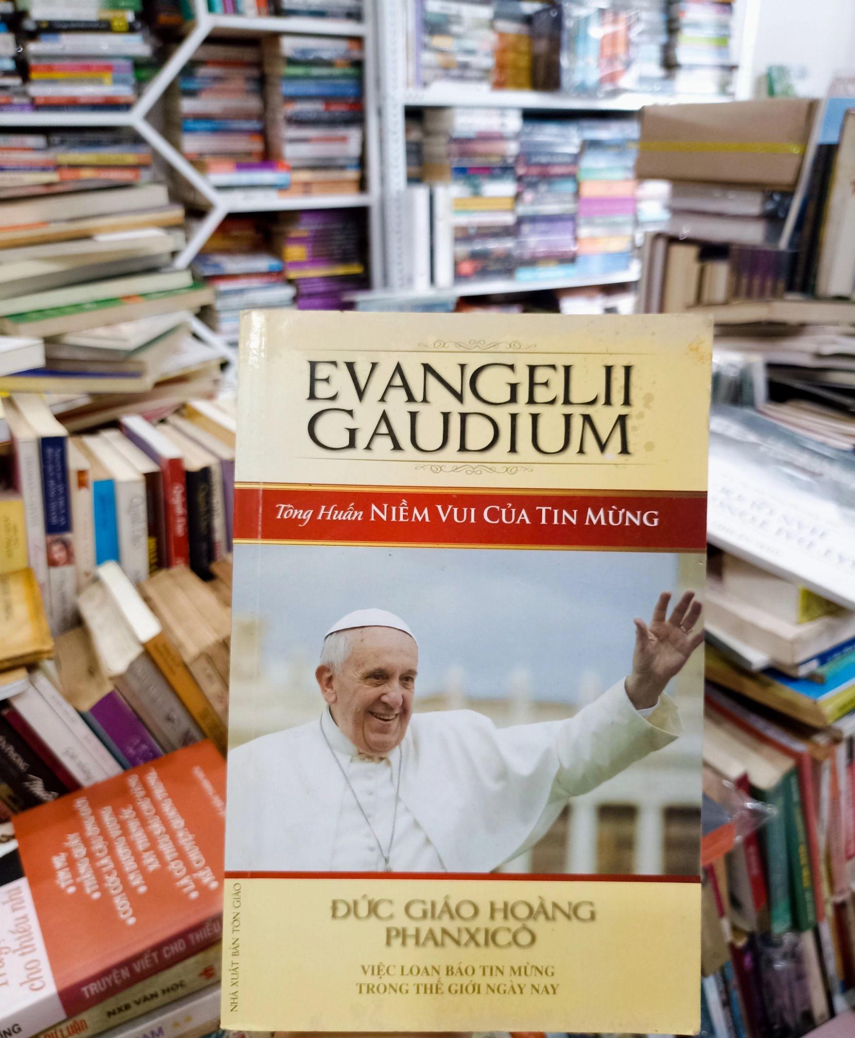 Tông Huấn - ĐGH Phanxicô