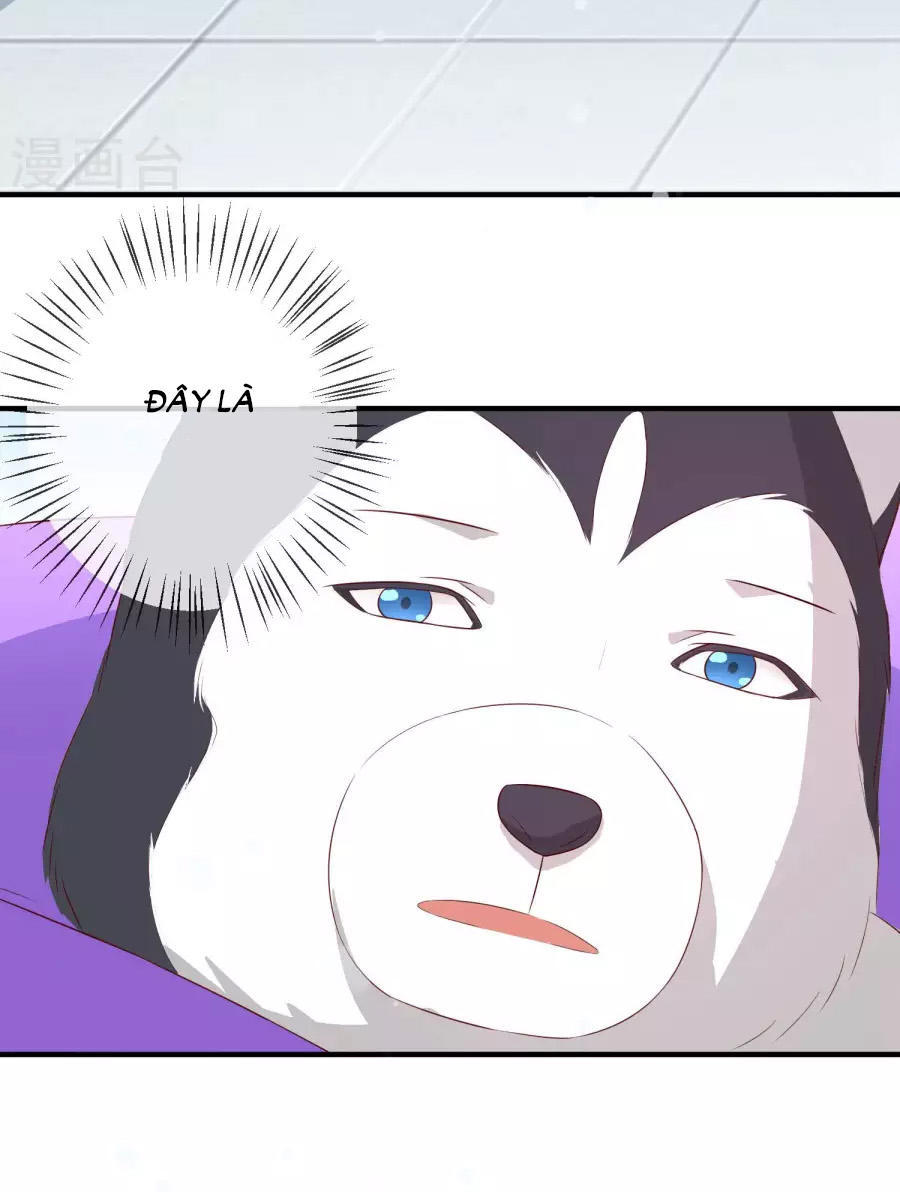 cuộc sống hào môn của vu nữ chapter 27 5