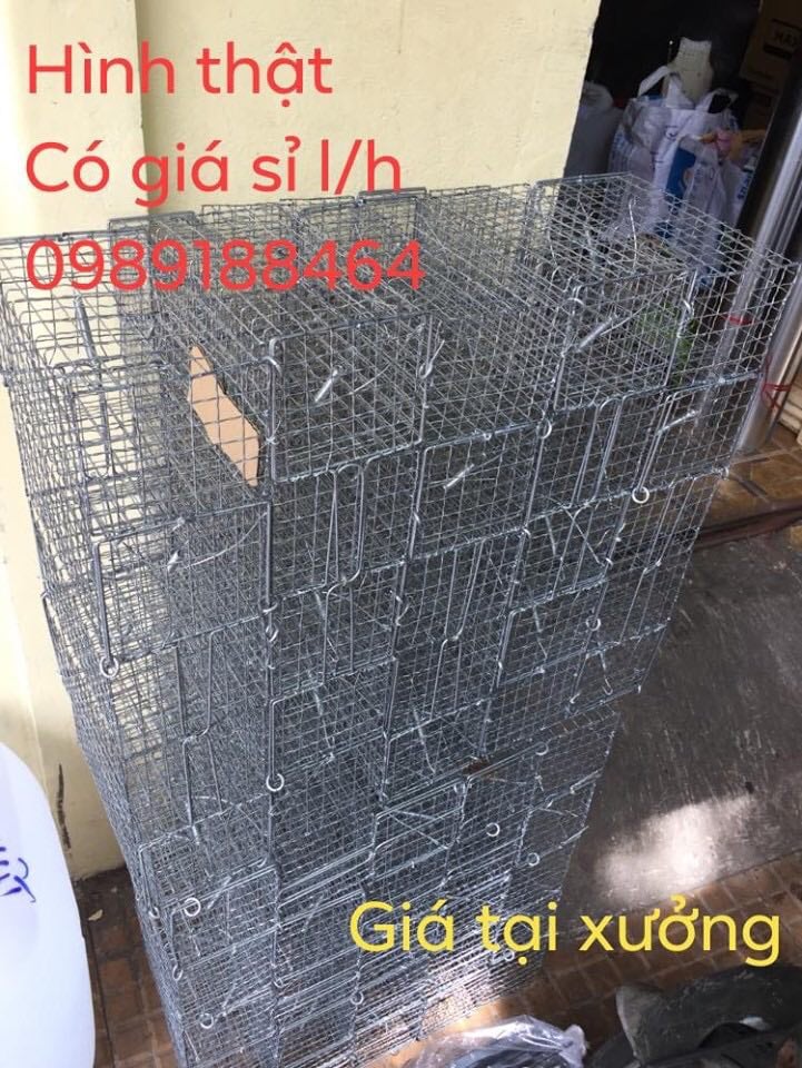 25 Bẫy chuột khoen gài cỡ lớn 20x11,5x11cm giá sỉ