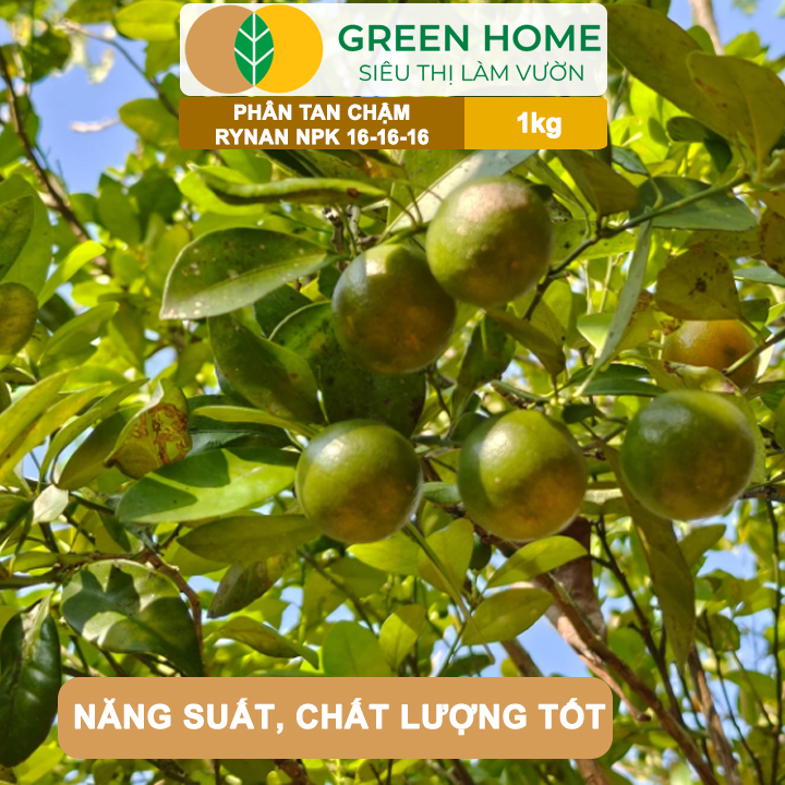 Phân Tan Chậm GreenHome, Rynan NPK 16-16-16, Túi 1kg, Dùng Cho Cây Có Múi Khỏe Bền Tán Xanh Rễ Mạnh
