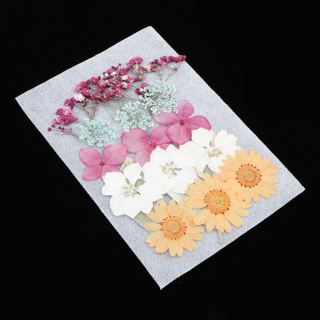 1 Bag Of Real Dried Pressed Flowers Leaves Assorted Colors for Making Greeting Card and Crafts, 2 - 3cm