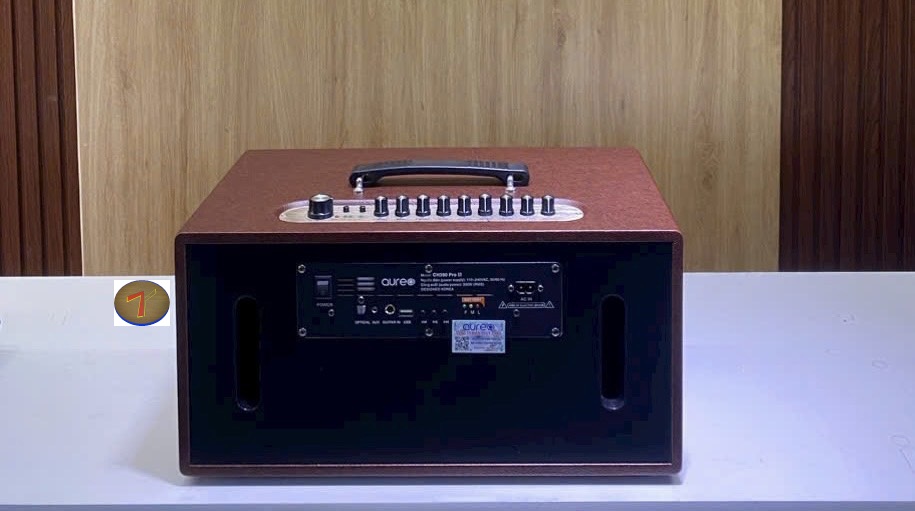 Loa di động xách tay CH 390Pro II - Hàng chính hãng
