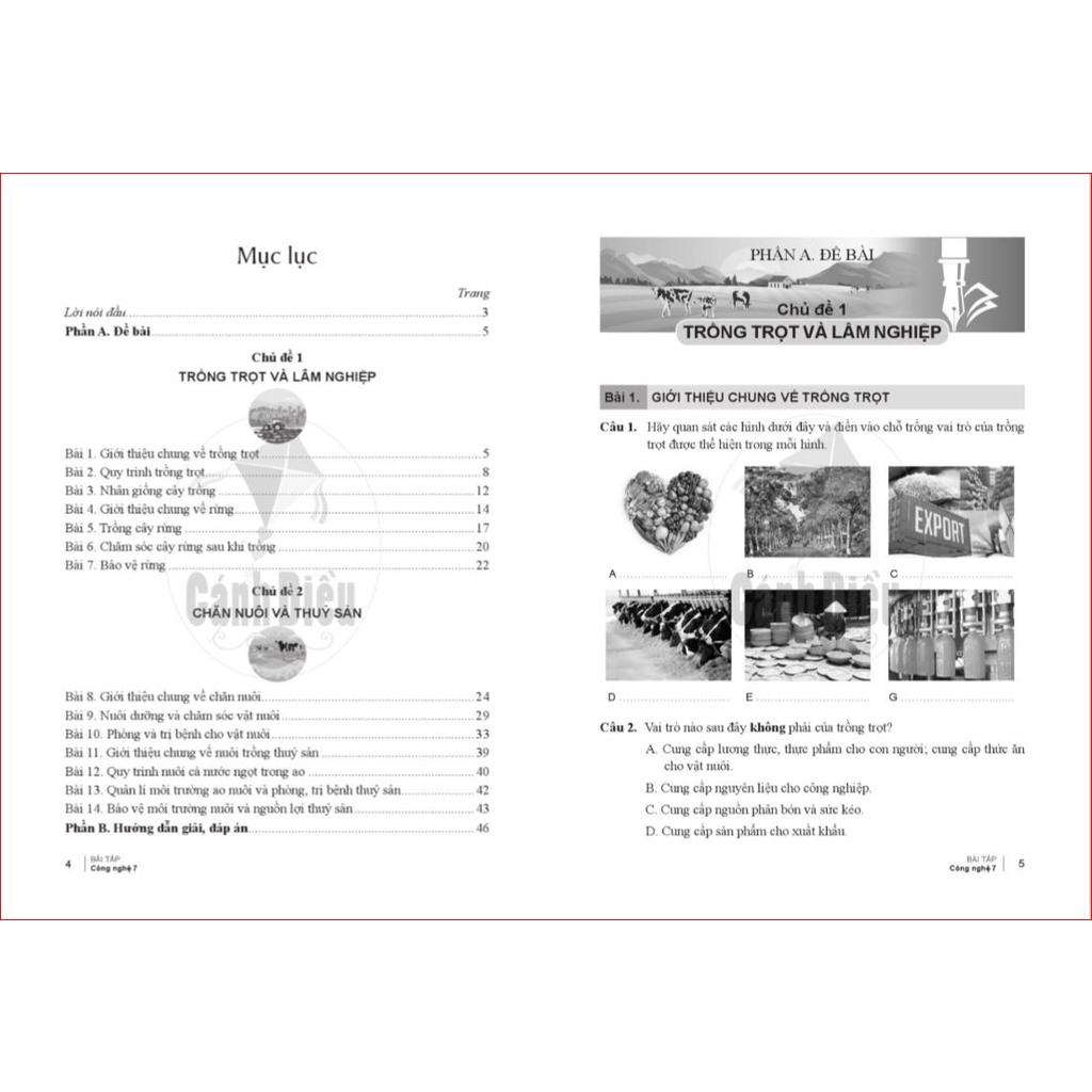 Bài Tập Công Nghệ 7 - Cánh Diều