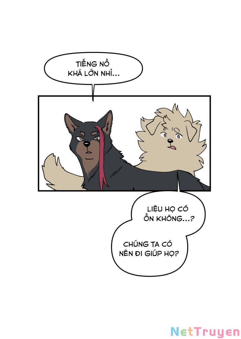 lumine - cội nguồn ánh sáng chapter 163 14