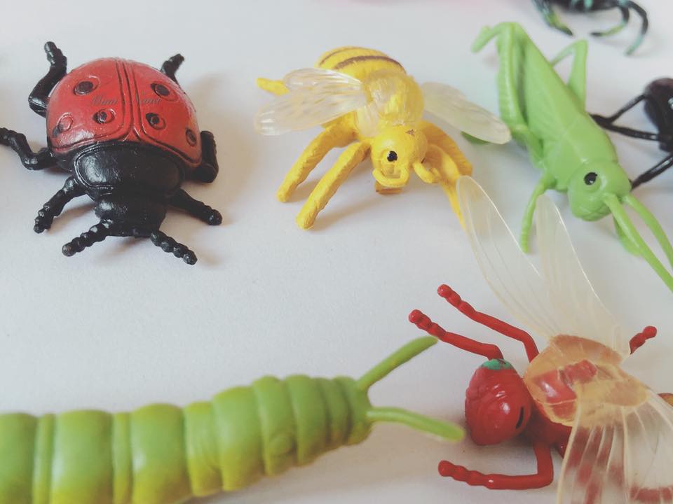 SET 13 MÔ HÌNH CÁC LOẠI CÔN TRÙNG