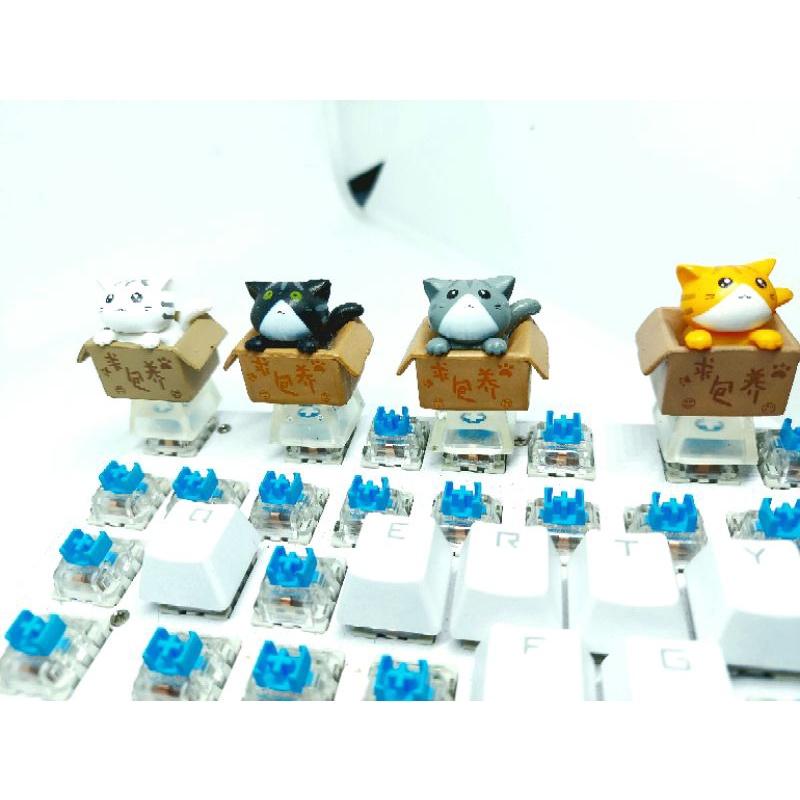 Keycap bé mèo trong hộp( cat in box) chân trong suốt