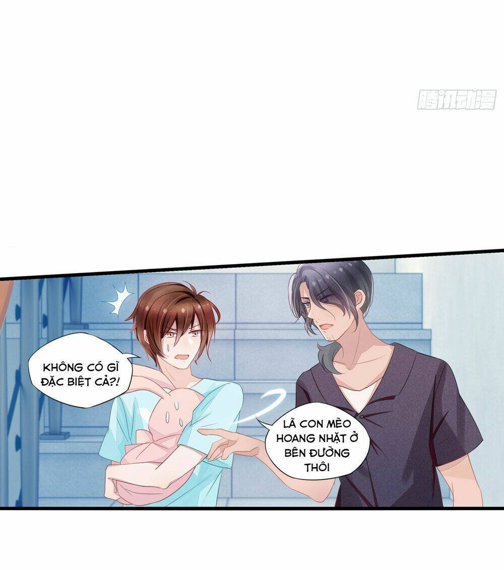 làm mèo của ta chapter 4 14