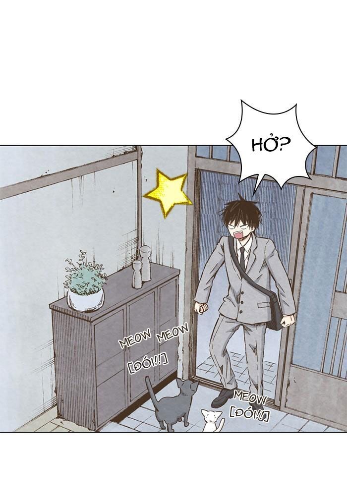 honey! honey! marry me! chapter 79 41