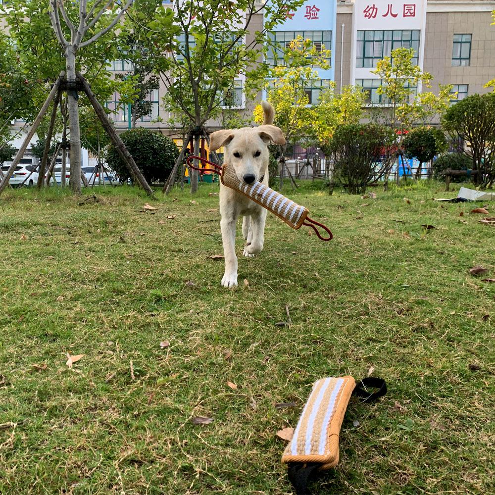 Chó huấn luyện cắn gối Đay cắn đồ chơi cho chó Tug đồ chơi bền bỉ
