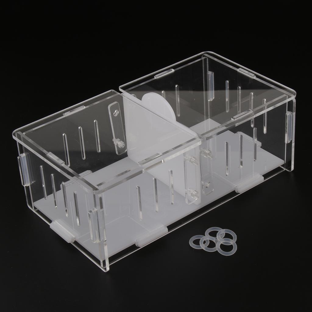 1x Reptile Cage Food Feeding Container For Spider Frog Cricket Turtle