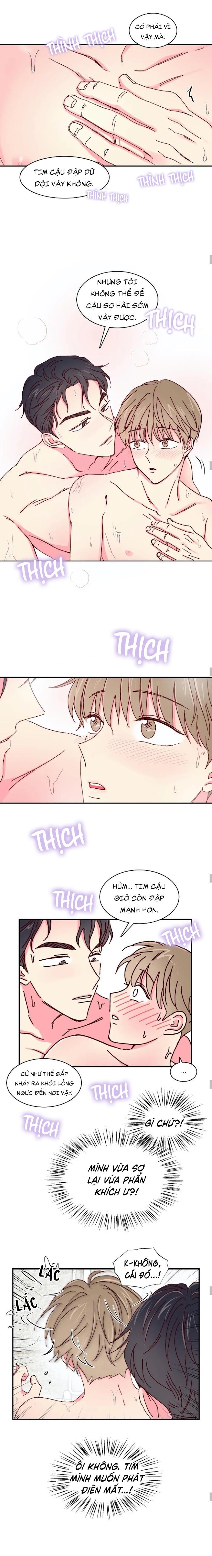 món tráng miệng của sếp tổng chapter 18 3