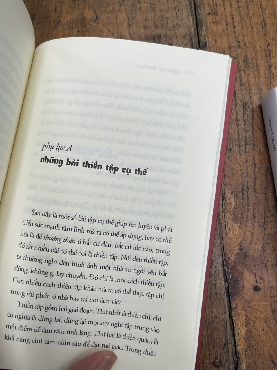 QUYỀN LỰC ĐÍCH THỰC – Thích Nhất Hạnh – Chân Đạt dịch – Phương Nam Book – NXB Thế Giới