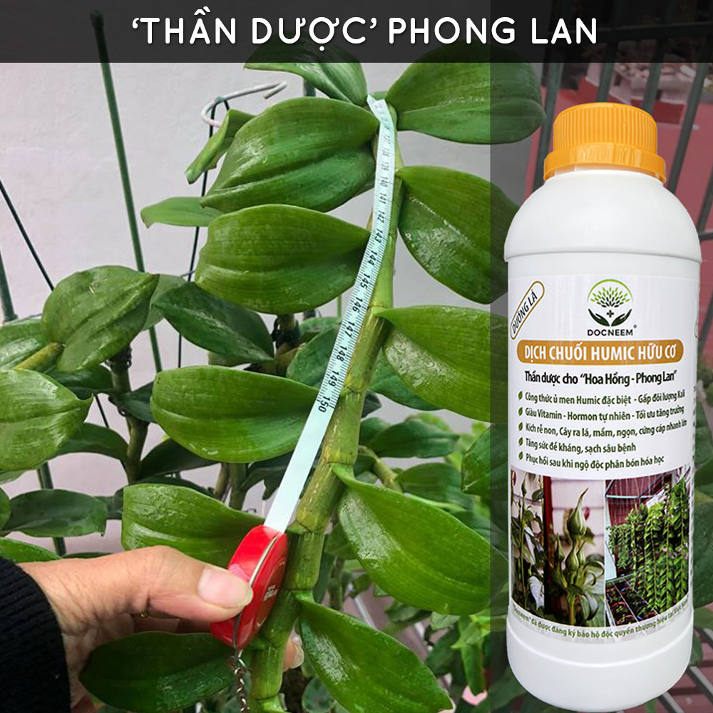 Phân bón hữu cơ dịch chuối DOCNEEM, phân bón cho phong lan, hoa hồng, cây cảnh kích rễ, kích kei, chồi, mầm, chai 1 lít