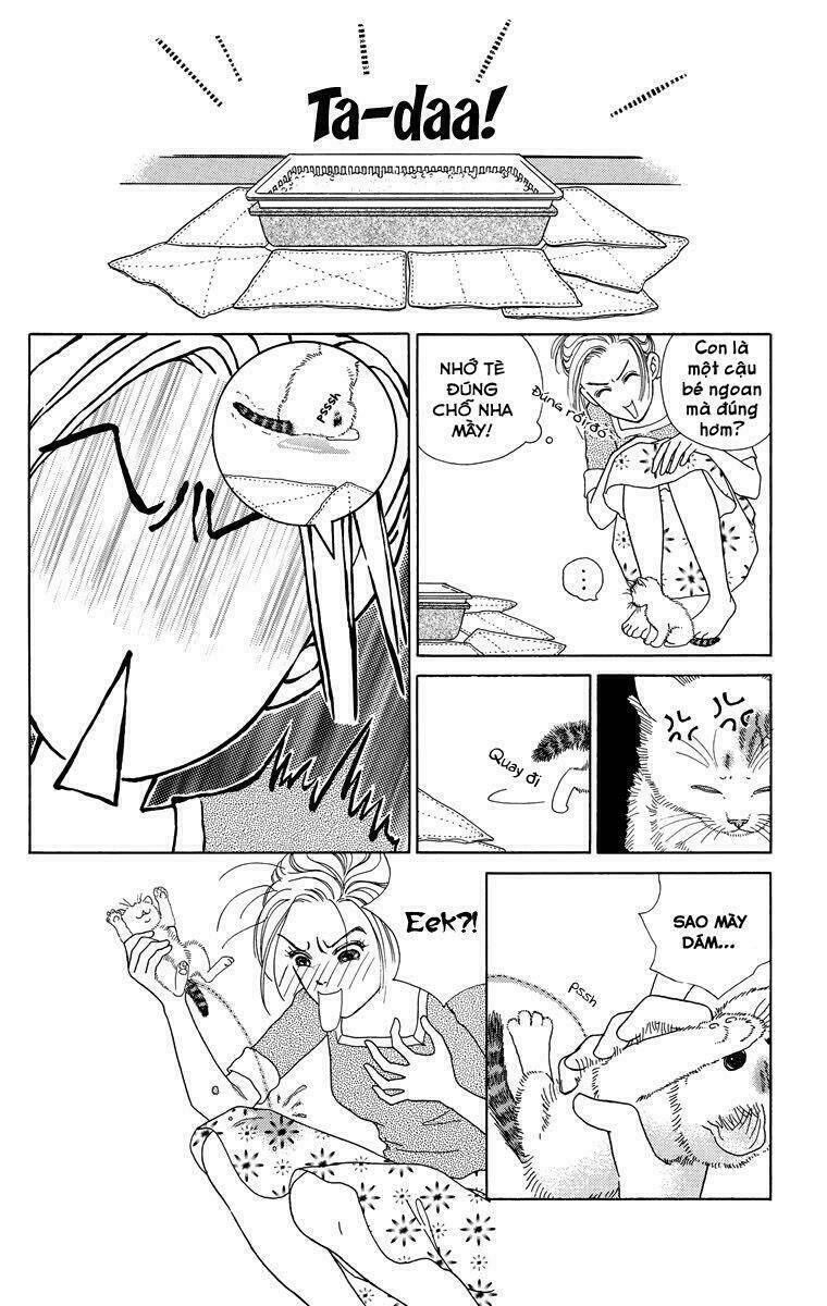 cuộc sống thường nhật của mèo zaccho chapter 1.5 18