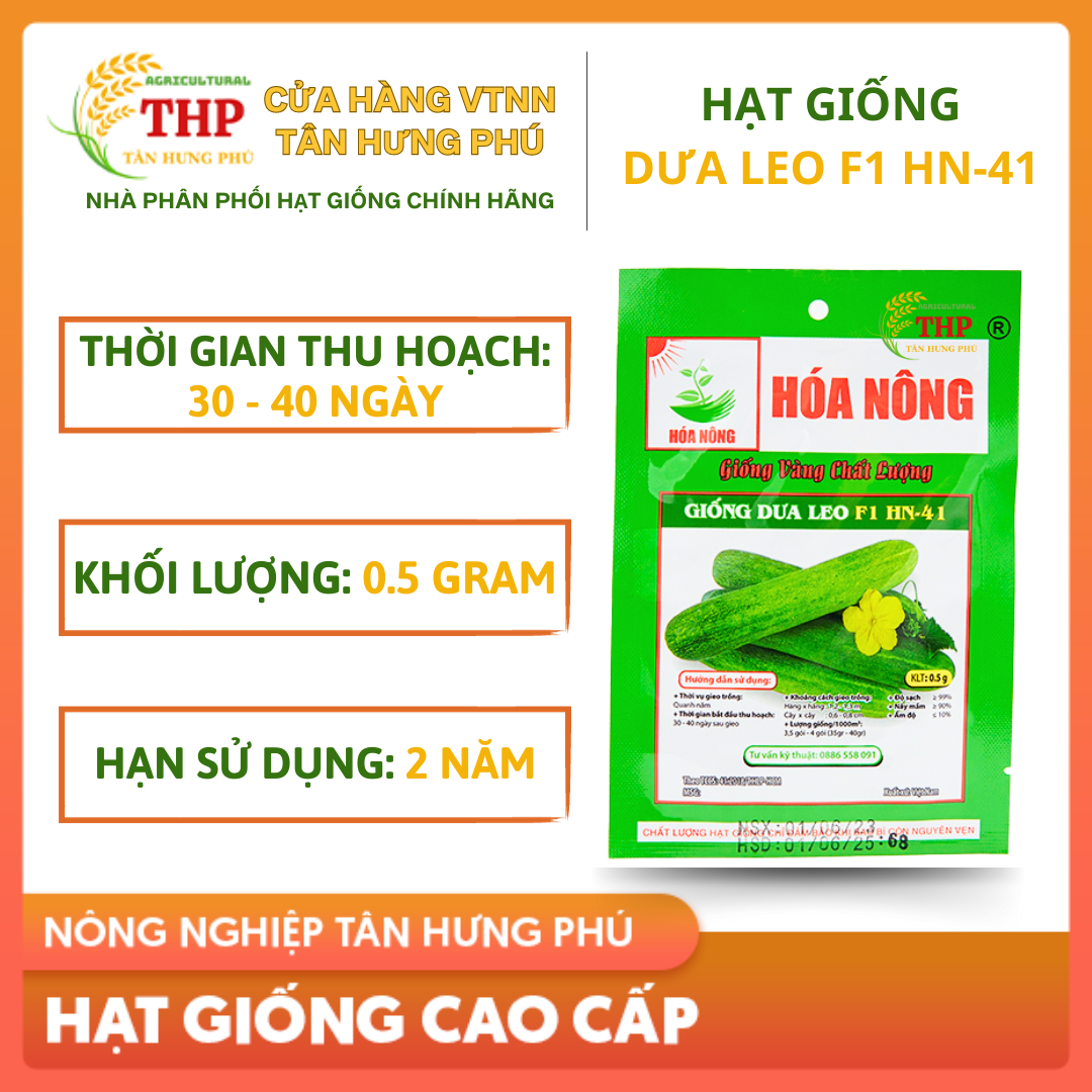 Hạt giống Dưa Leo F1 HN-41 | Hạt Giống | gói 0.5gr