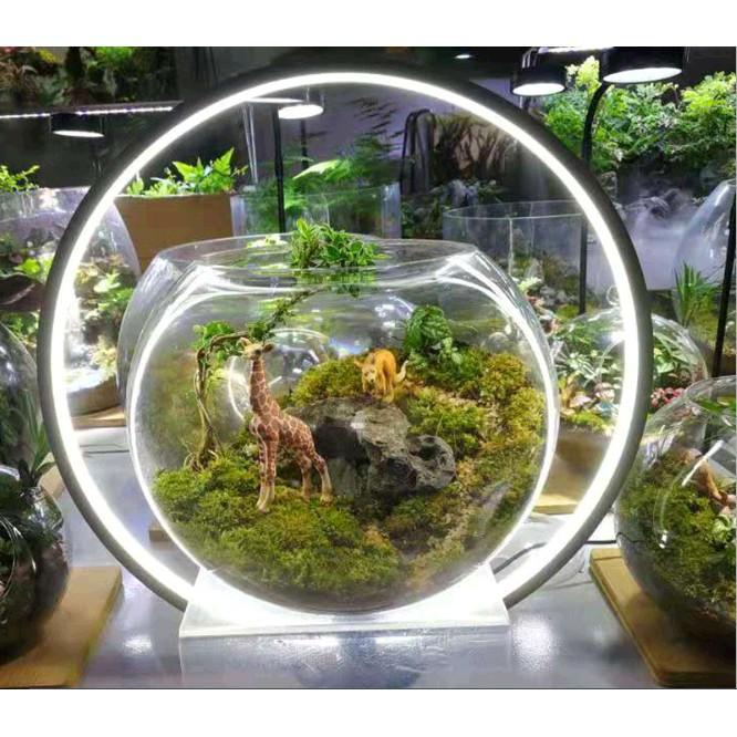 ĐÈN LED VÒNG TRÒN THỦY SINH - ĐÈN LED BỂ CÁ SIÊU ĐẸP